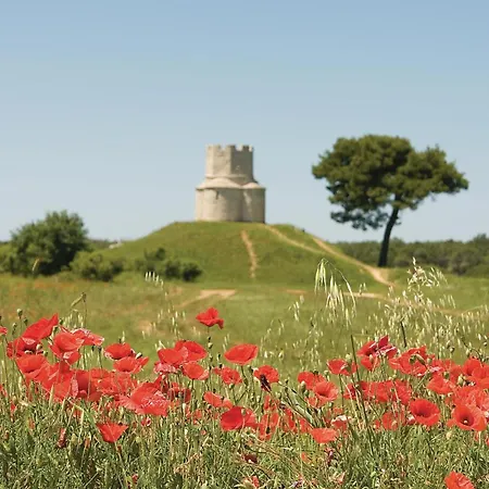 Cozy In With Wifi Daire