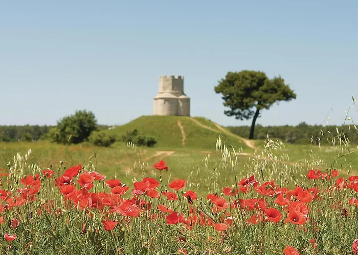 Cozy In With Wifi דירה